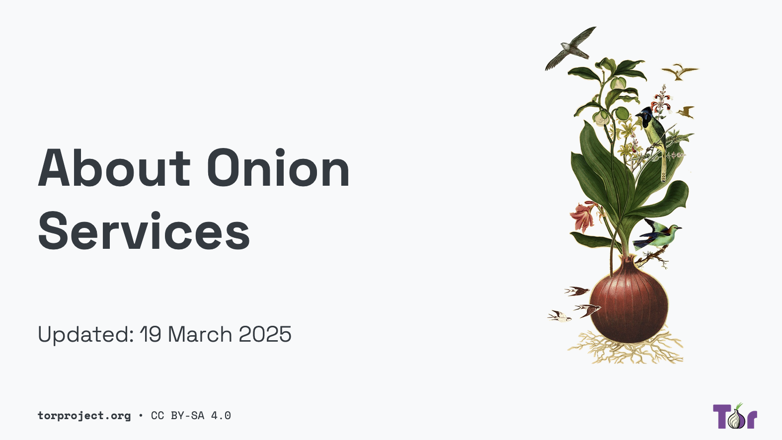 About Onion Services